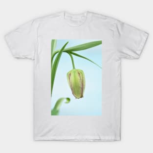 Fritillaria  Fritillary  April T-Shirt